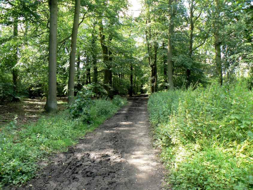 Ridgeway Ridgeway